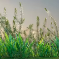 Lush Green Shrubs with Tall Grass Under Clear Sky and Warm Sunlight
