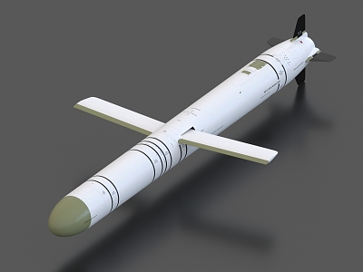 torpedo missile rocket air-to-ground missile anti-ship missile anti-submarine missile intercontinental missile cruise missile model