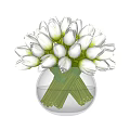 White Tulips Arrangement in Clear Glass Vase with Water and Fallen Bloom