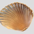 Natural Striped Seashell With Intricate Textured Surface And Brown White Patterns