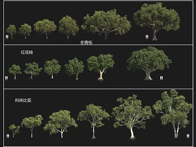 Arbor Collection Featuring Winter Cypress Red Flower Locust Tree Form Albizia And Other Varieties 3d model