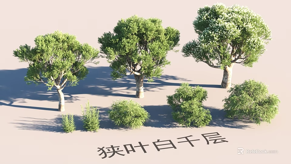 Garden Landscape Featuring Narrow leaved Melaleuca Trees And Green Shrubs 3d model 