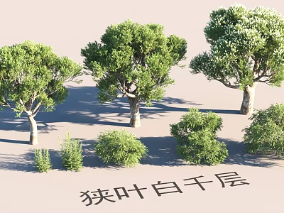 Garden Landscape Featuring Narrow leaved Melaleuca Trees And Green Shrubs 3d model