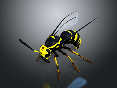 Detailed Black and Yellow Wasp with Transparent Wings and Yellow Legs 3d model