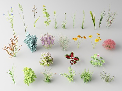 Modern flowers and plants model