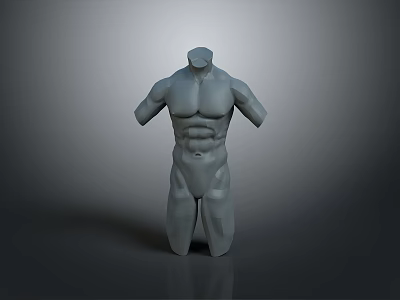 Gray Human Torso Model With Muscular Build Detailed Physique And Smooth Texture 3d model