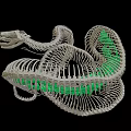 Coiled Snake Skeleton With Green Glowing Interior On Black Background