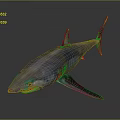 Realistic Blue Shark 3D Model With Sharp Teeth And Gray Gradient Background