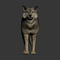 Lifelike Standing Wolf Sculpture With Gray Brown Fur And Natural Posture