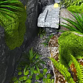 Lush Green Garden With Mossy Rocks Ferns Pebbles And Stone Slab