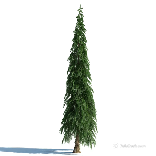 Tall Evergreen Arbor with Lush Dense Green Foliage in Outdoor Area 3d model 