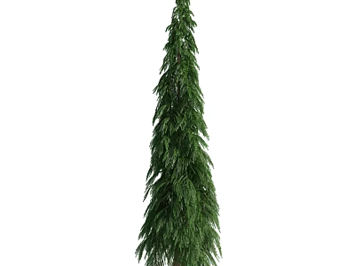 Tall Evergreen Arbor with Lush Dense Green Foliage in Outdoor Area 3d model