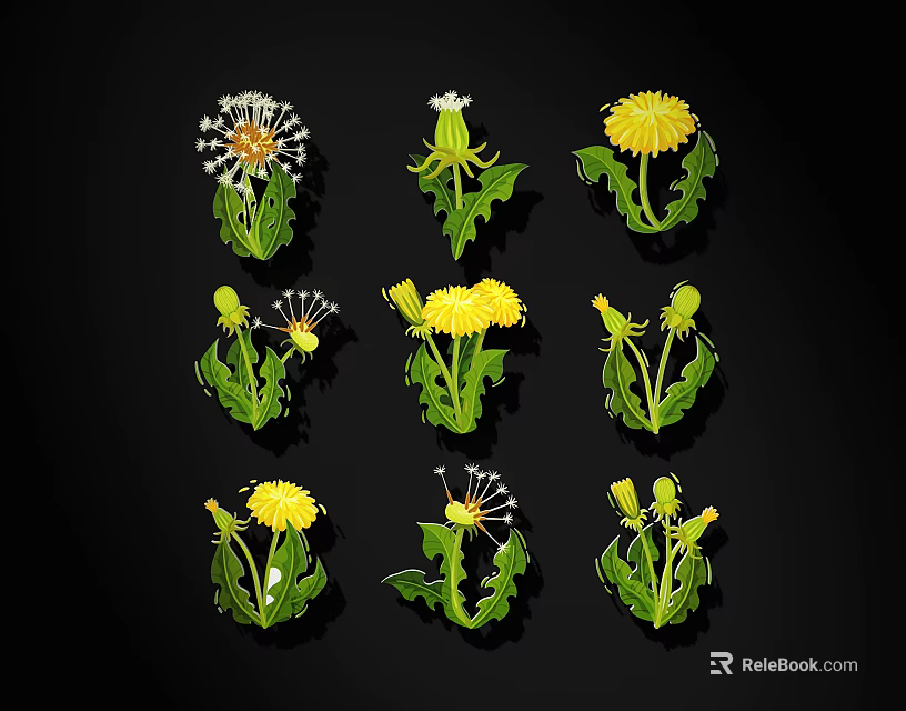Various Dandelion Growth Stages With Yellow Flowers And White Seed Balls 3d model 