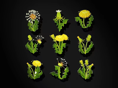 Various Dandelion Growth Stages With Yellow Flowers And White Seed Balls 3d model