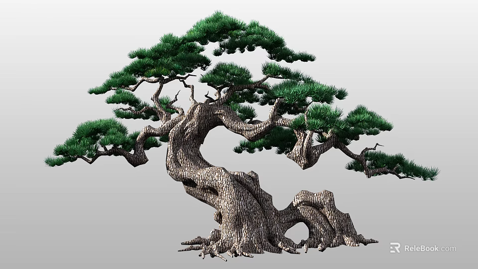 Elegant Arbor With Twisted Trunk Lush Green Pine Foliage And Visible Roots 3d model 