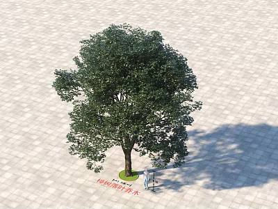 Lush Green Arbor with Grass Lawn and Bench on Paved Ground 3d model