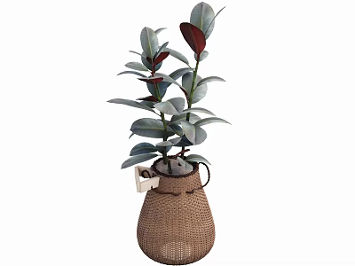 Potted Bonsai Plant with Green and Red Oval Shaped Leaves in Woven Brown Pot 3d model
