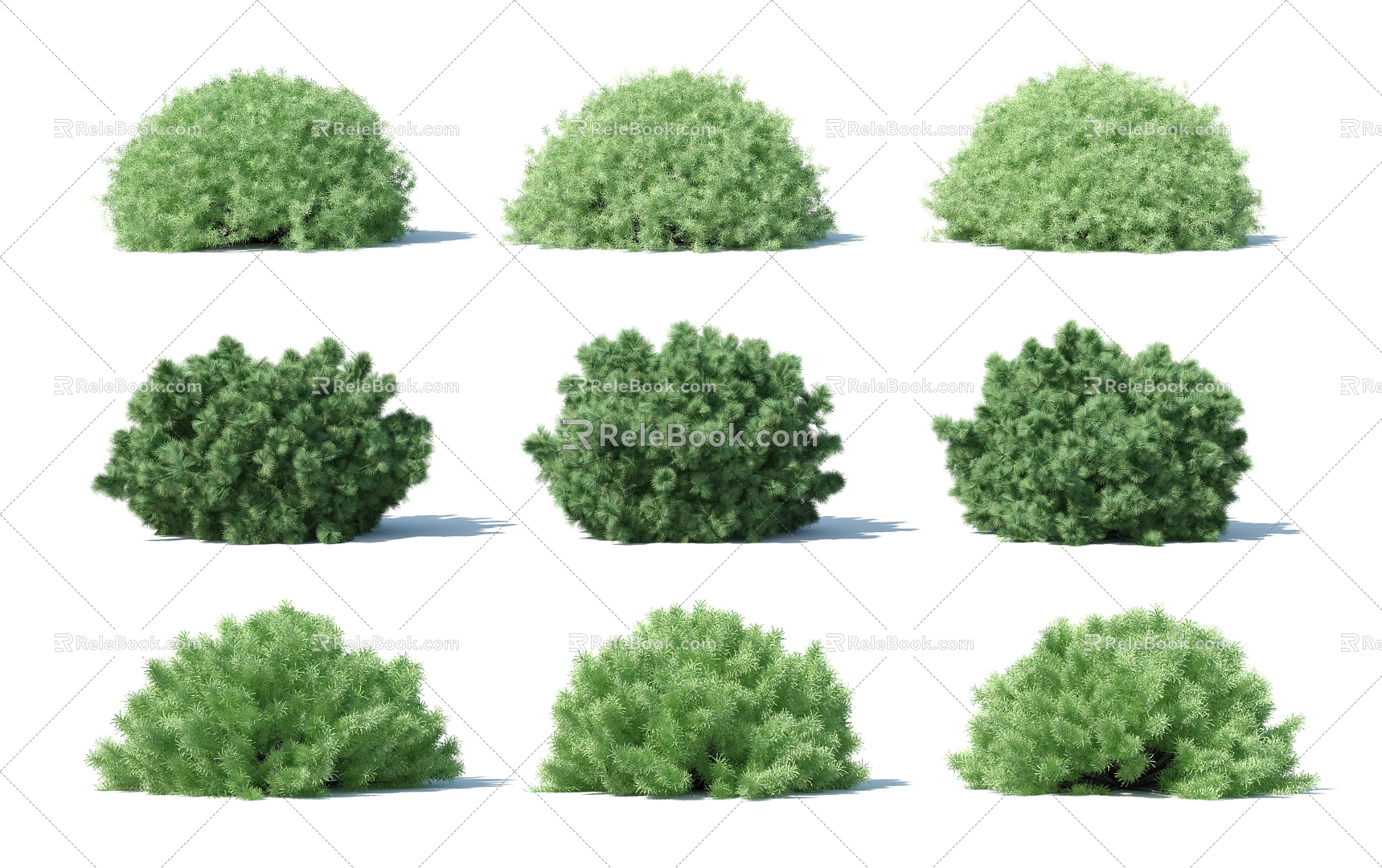 Modern shrubs 3d model