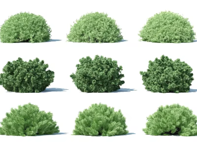 Different Green Shrub Varieties with Unique Shapes for Garden Design Projects 3d model