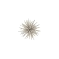 White Spiky Radial Design Ornament Decoration Set for Modern Home Decor Accent