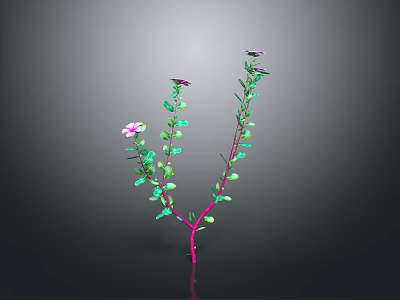 Plant Featuring Two Main Pink Stems Green Leaves Purple Flowers On Gray Background With Reflection 3d model