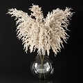 Transparent Glass Vase With White Pampas Grass Flowers On Light Tabletop Against Gray Wall