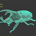 Large Horned Beetle With Shiny Dark Exoskeleton And Detailed Legs On Dark Background