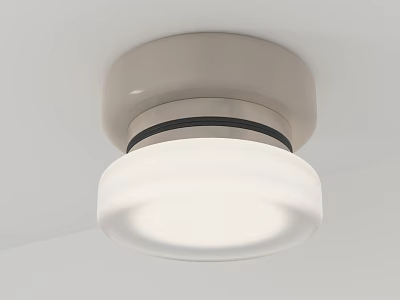 Modern Minimalist Flush Mount Ceiling Light With White Round Lampshade And Sleek Design 3d model