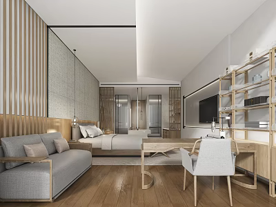 Modern Hotel Guest Room Interior Design With Sofa Bed Wooden Shelves TV And Minimalist Elements 3d model