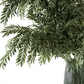 Lush Green Ferns Arranged In Modern Glass Vase For Home Decor