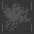Green Leaf Shrub With White Flowers And 75 Cm Height Measurement