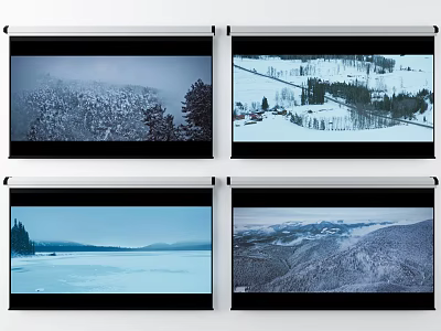 Projection Monitoring System With Four Screens Showing Natural Outdoor Surveillance Scenes 3d model