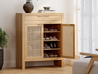 shoe cabinet rattan cabinet 3d model