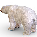 Modern polar bear cartoon polar bear 3d model