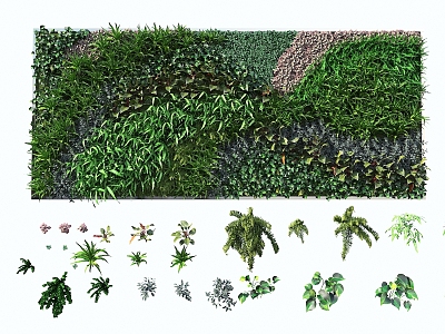 Plant Wall Green Plant Wall Plant Wall Plant Landscape Wall Green Wall 3d model