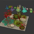 Various Garden Plants Including Succulents Red Flowers And Green Shrubs With Stones On White Base