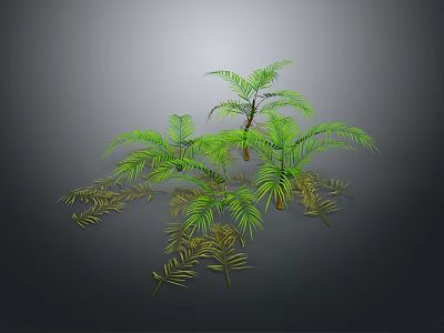 Green Tropical Plants With Lush Palm Leaves And Fern Foliage On Gray Background 3d model