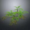 Green Tropical Plants With Lush Palm Leaves And Fern Foliage On Gray Background
