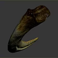 Unique Crescent Shaped Yellow And Brown Object With Natural Textured Surface And Curved Design