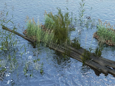 Lush Aquatic Flowers And Plants By Waterfront With Wooden Bridge And Rippling Water 3d model