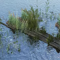 Lush Aquatic Flowers And Plants By Waterfront With Wooden Bridge And Rippling Water