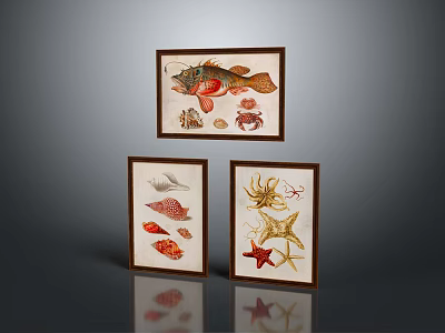 Three Framed Marine Life Decorative Paintings With Fish Crab Starfish And Octopus 3d model