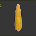 Fresh Yellow Sweet Corn Cob With Juicy Kernels As Healthy Natural Food Choice