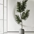 Modern Indoor Potted Plants in Gray Pots with White Wall Circular Decor and Window Blinds