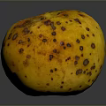 Yellow Spotted Apple with Brown Blemishes on Dark Background with Shiny Reflection Surface 3d model