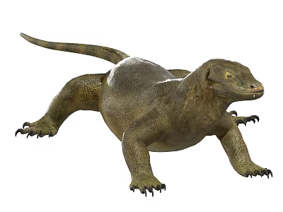 Komodo Dragon Large Reptile With Scaly Skin Long Tail And Sharp Claws 3d model