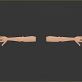 Hand Medical Teaching Aware Medical Supplies Medical Teaching Aware Medical Display 3d model