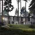 Modern Detached Villa Surrounded by Tall Pine Trees And Lush Green Grassland