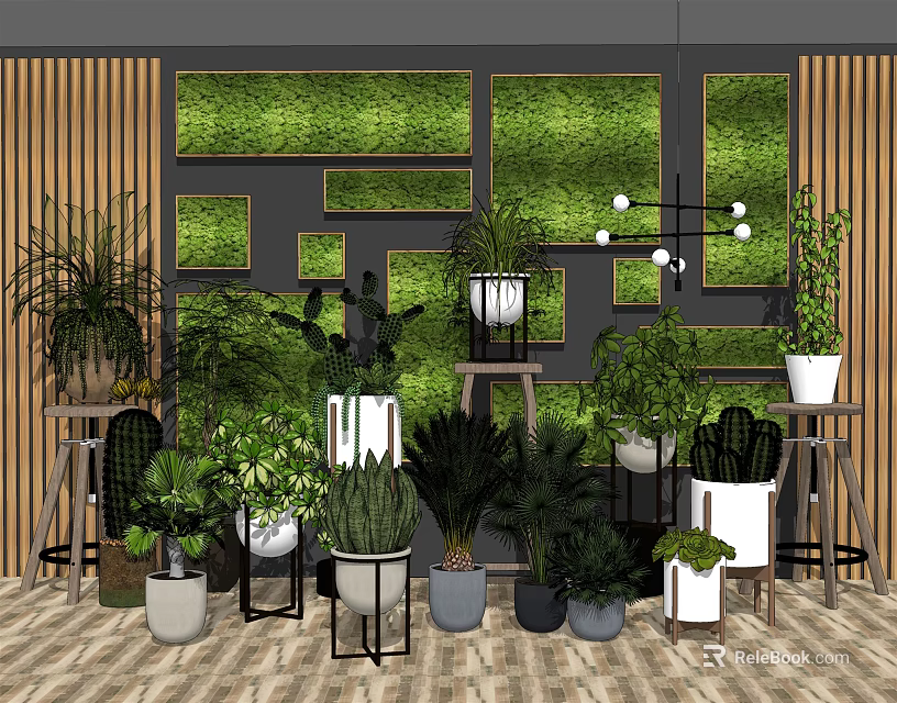Bonsai and Potted Plants Interior Decor with Green Wall Various Plant Types and Wooden Shelves 3d model 
