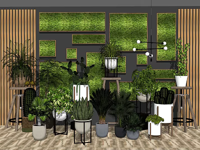 Bonsai and Potted Plants Interior Decor with Green Wall Various Plant Types and Wooden Shelves 3d model